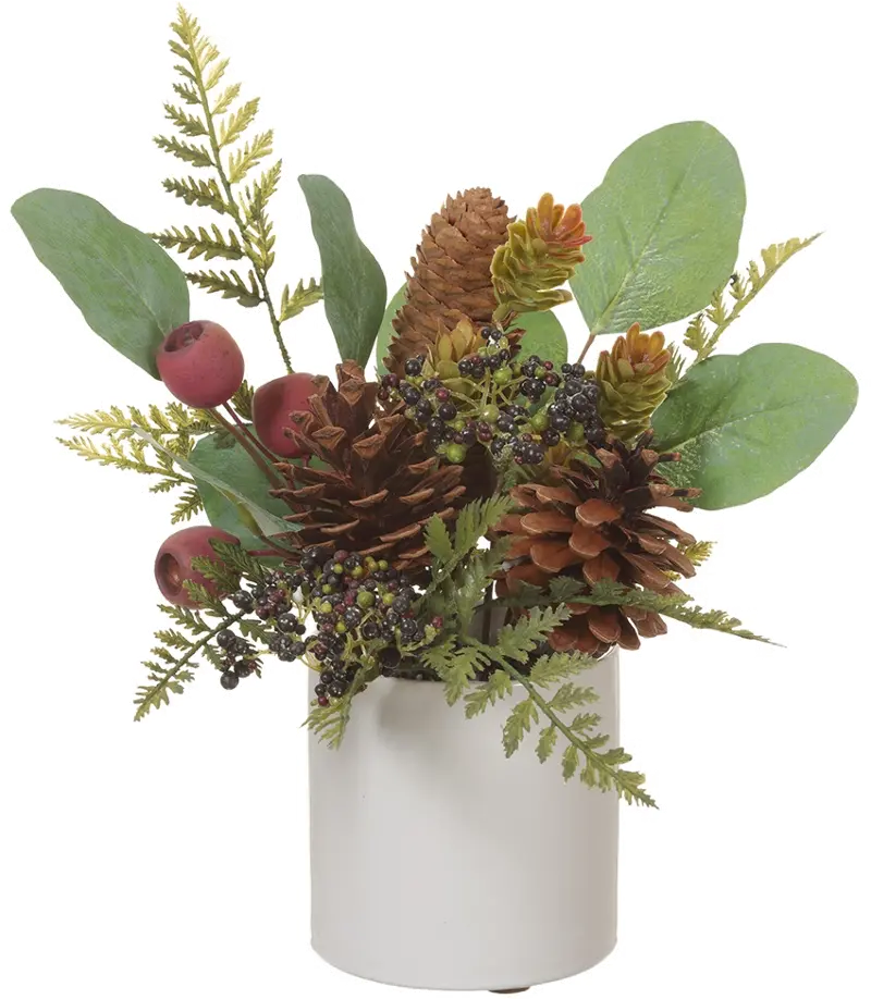 11 Inch Eucalyptus Fern Cone in Pot