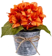 8 Inch Hydrangea In Tin Pot