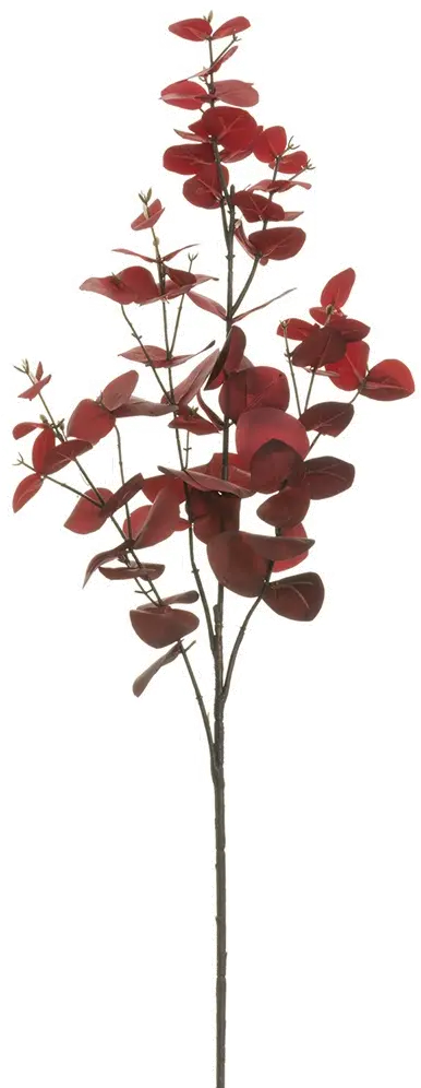 37  Red Eucalyptus Spray-1