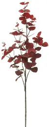 37  Red Eucalyptus Spray