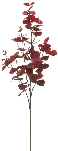37  Red Eucalyptus Spray