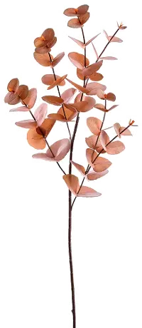 34  Copper Eucalyptus Stem Spray