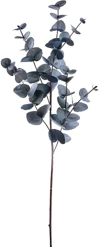 34  Black and Gray Eucalyptus Spray