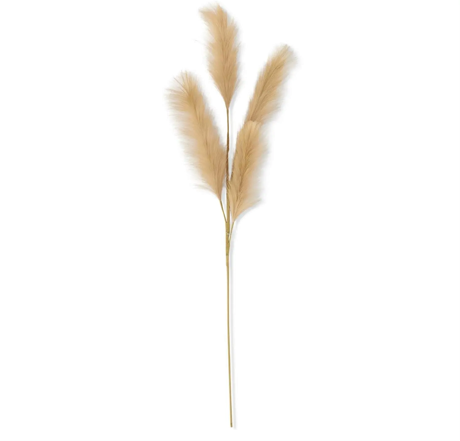 42  Beige Grass Stem-1