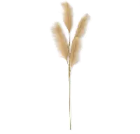 42  Beige Grass Stem