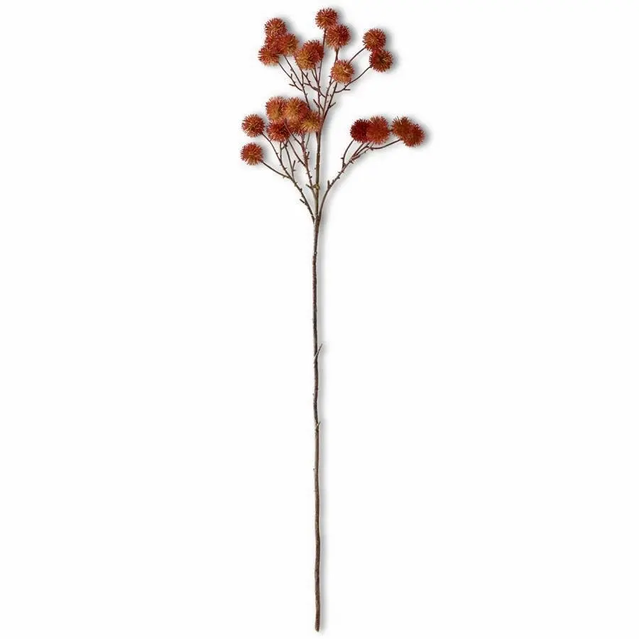 29  Orange Sycamore Stem-1