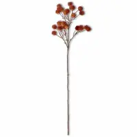 29  Orange Sycamore Stem