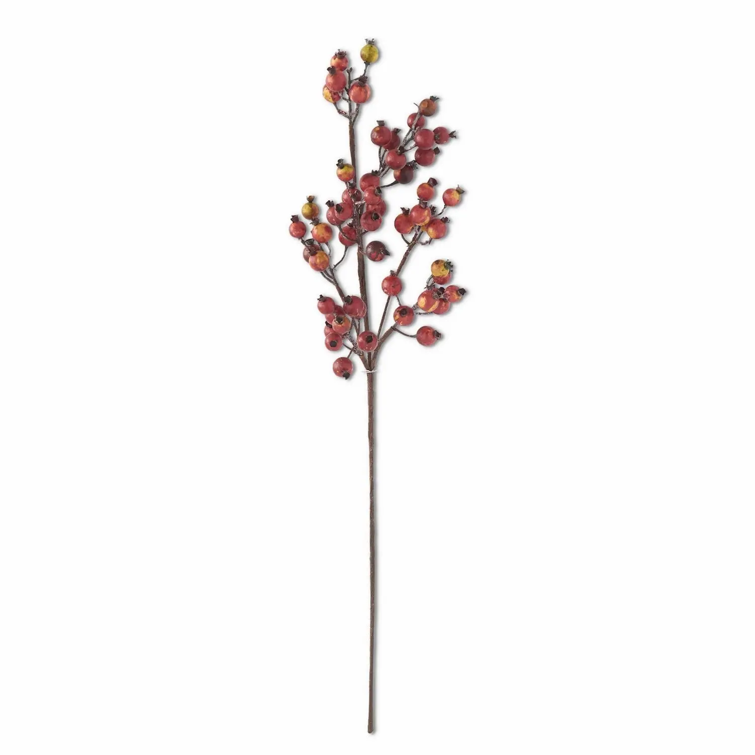 32  Crab Apple Stem-1
