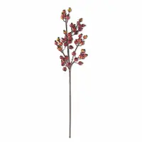 32  Crab Apple Stem