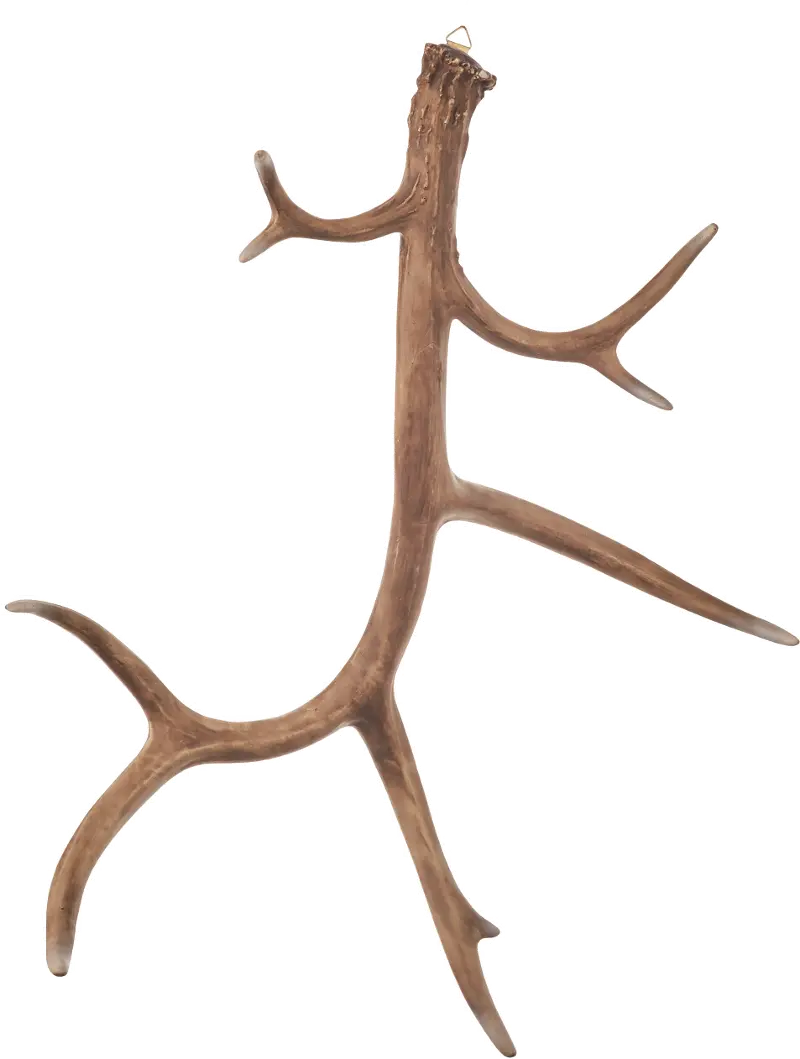 23.5 Inch Natural Wall Antler