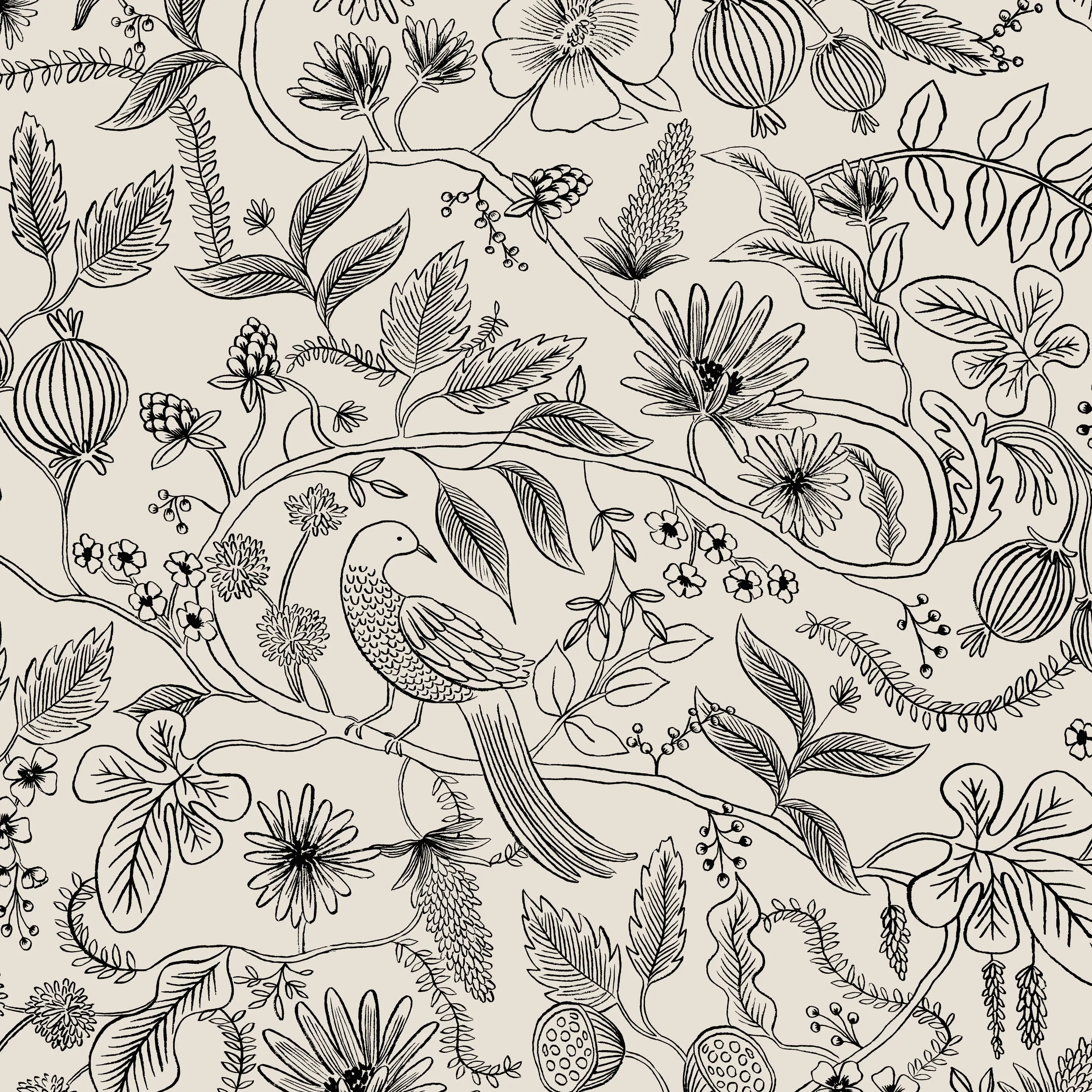 912QRPCAVBLKCRMLCB Rifle Paper Co Mayfair Aviary Cream & Black Queen Headboard-5