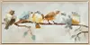 23.5  Birds Singing Canvas