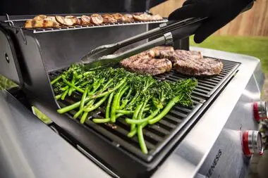 1500010,G3,E315,BLK Weber Genesis E-315 Three Burner Liquid Propane Grill-10