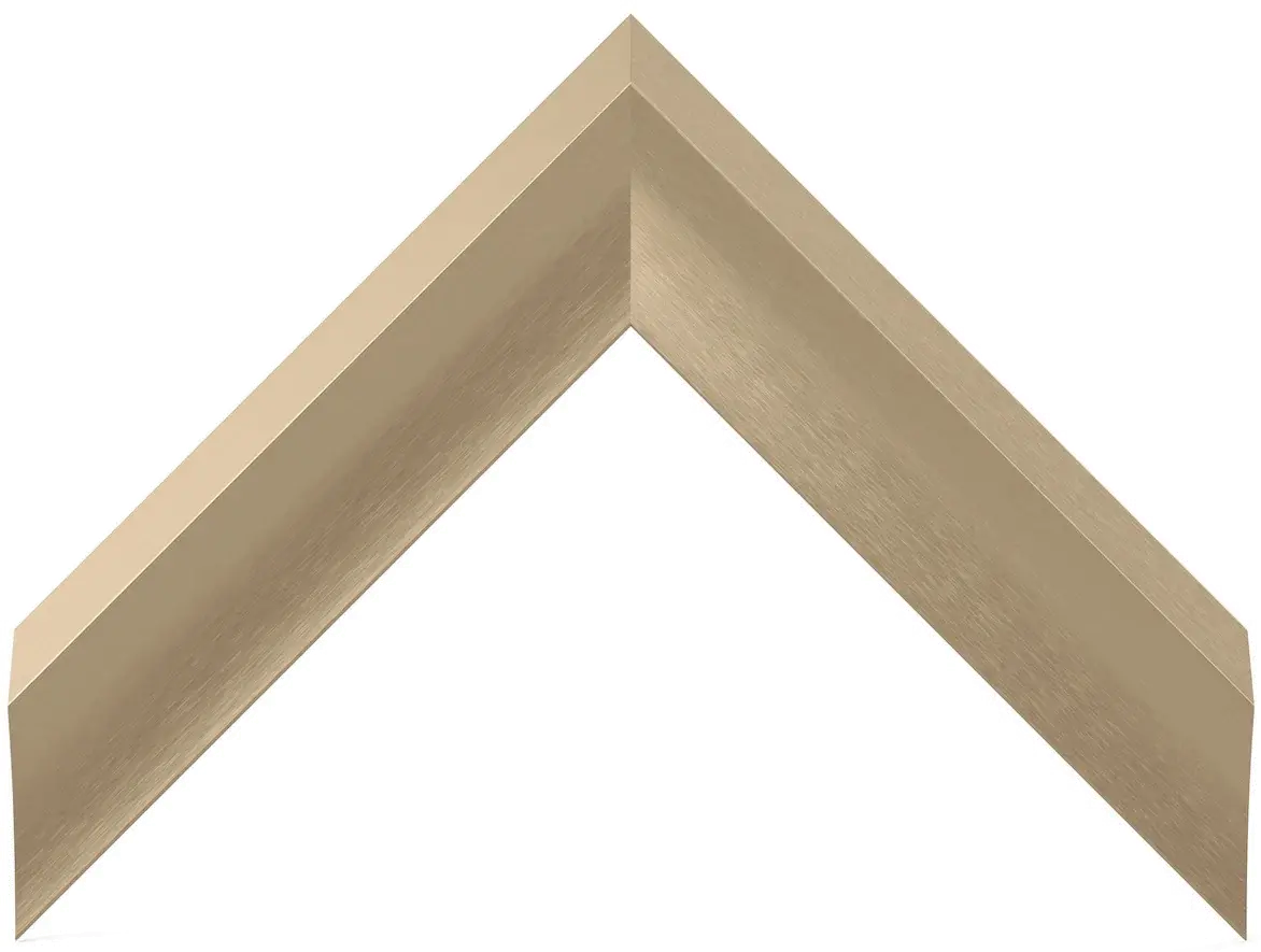 FRM-AL-PR-GLD-55-2021 Frame My TV 55  Alloy Prismatic Samsung Frame - Gold-1
