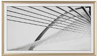 FRM-AL-PR-GLD-65-2021 Frame My TV 65  Alloy Prismatic Samsung Frame - Gold