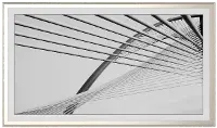 FRM-AL-SC-GSL-50-2021 Frame My TV 50  Alloy Scoop Samsung Frame Bezel - Silver