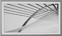 FRM-AL-SC-GPH-65-2021 Frame My TV 65  Alloy Scoop Samsung Frame Bezel - Graphite