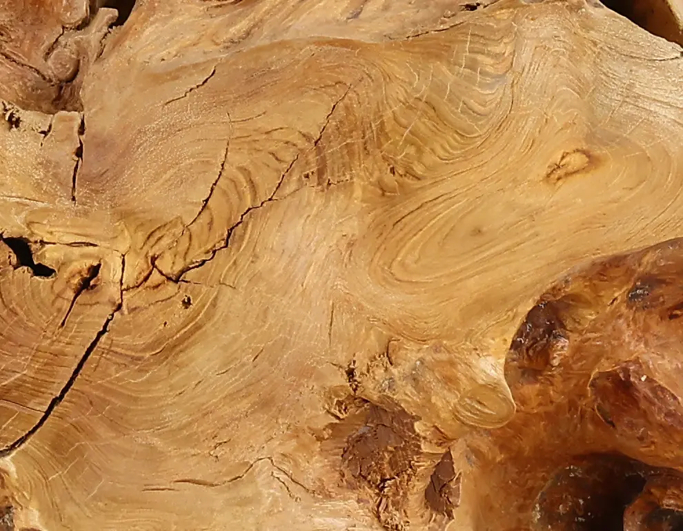 Rustic Natural Teak Root Bar Table-10