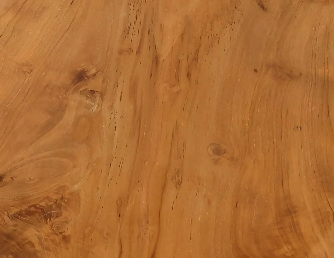 Rustic Natural Teak Root Bar Table-11