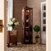 CM0696 Canterdale Mohagany Lighted Corner Curio Cabinet