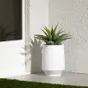 15004 Dalya White 16  Outdoor Planter