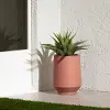 15008 Dalya Burnt Orange 16  Outdoor Planter