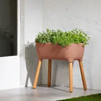 15326 Dalya Burnt Orange Raised Planter - South Shore