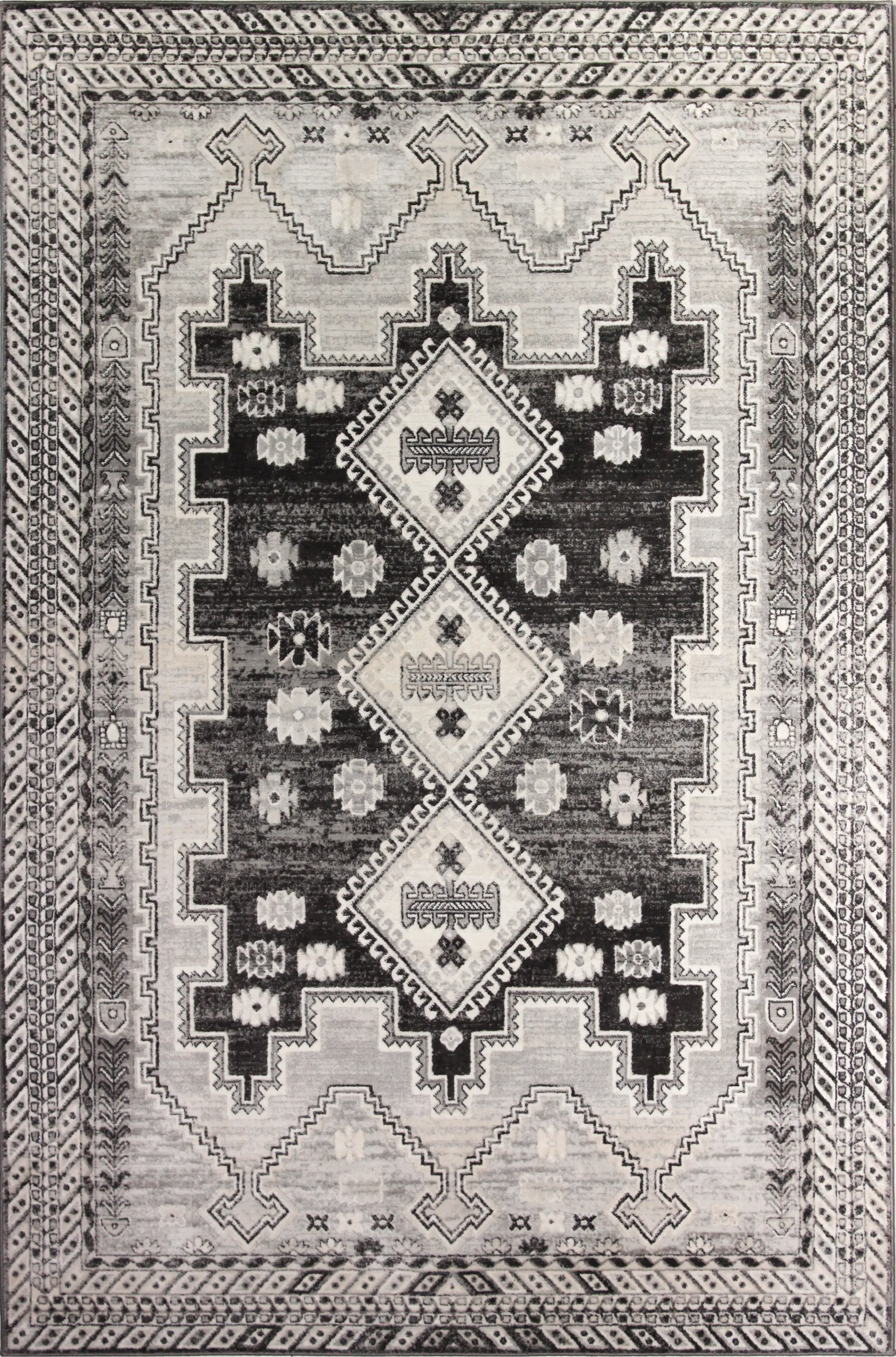 S231-CHAR-4X6-SE1001 Sierra 4 x 6 Luna Charcoal Area Rug-1
