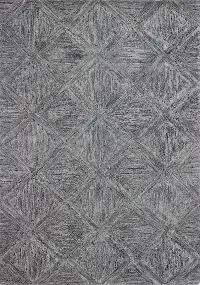R130-GY-4X6-LC172 Verona 4 x 6 Nayla Gray Wool Area Rug