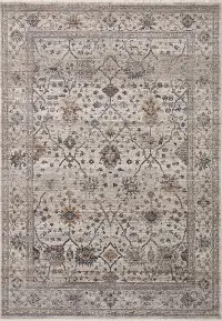 LYR-O4PEB/MUL7.10X10 Lyra 8 x 10 Pebble Gray Multicolor Area Rug