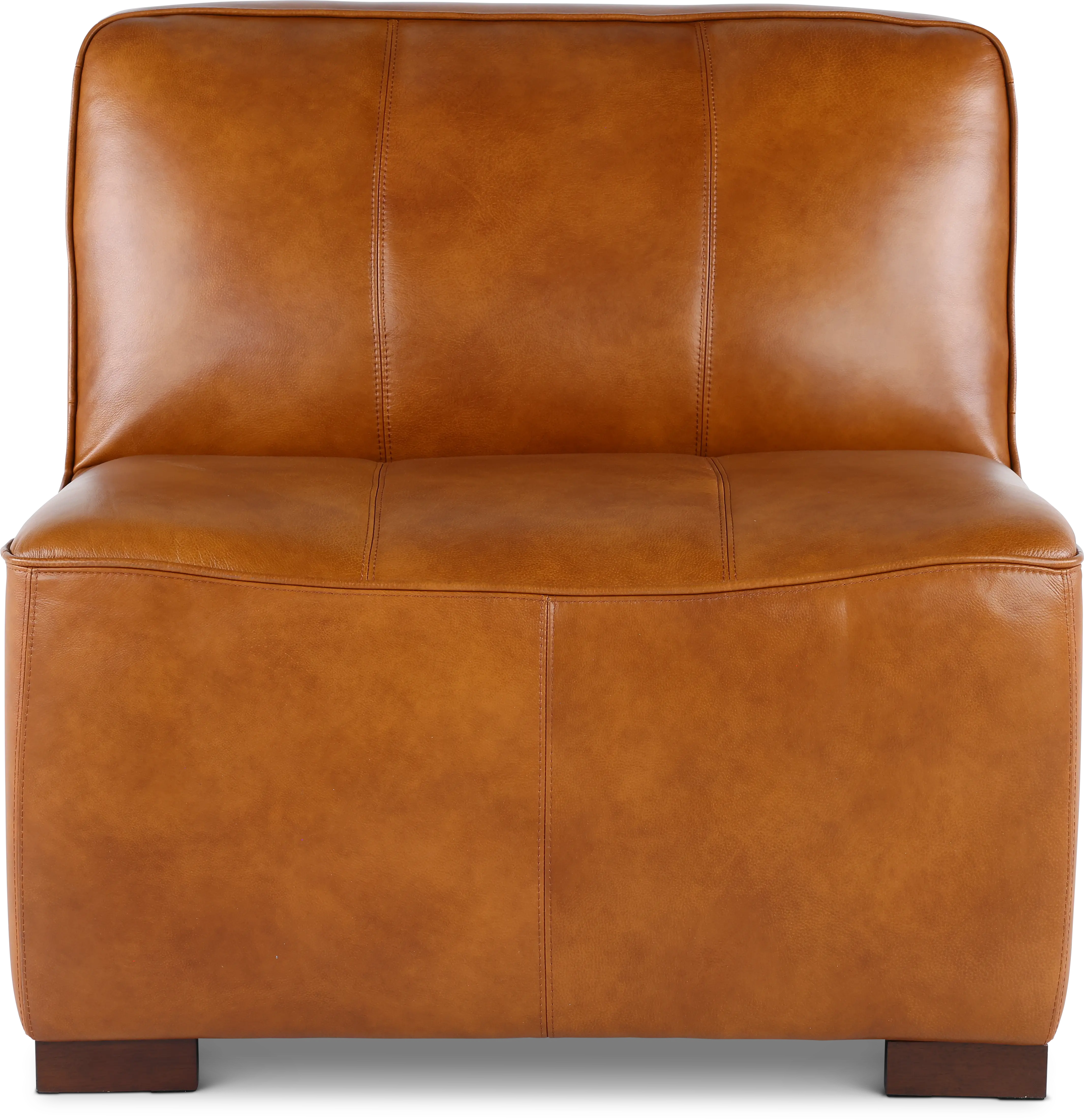 Denver Tobacco Brown Leather Modular Armless Chair-3