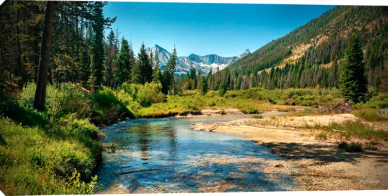 Mountain Stream Canvas Wall Art