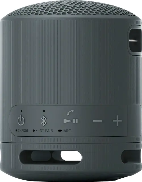 Sony XB100 Compact Bluetooth Speaker - Black | RC Willey