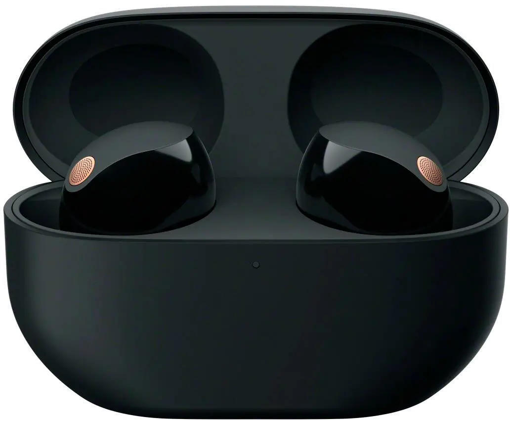WF1000XM5/B Sony Noise-Canceling True Wireless In-Ear Headphones - Black-5