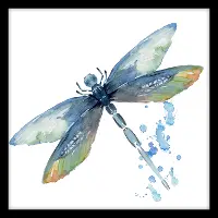 Dragonfly Framed Art