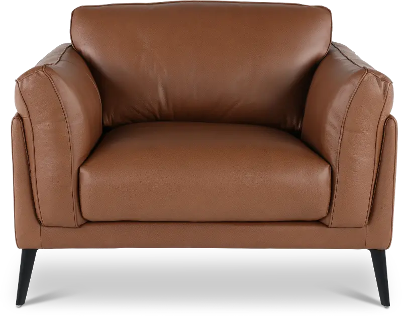 Paris Brown Leather Chair