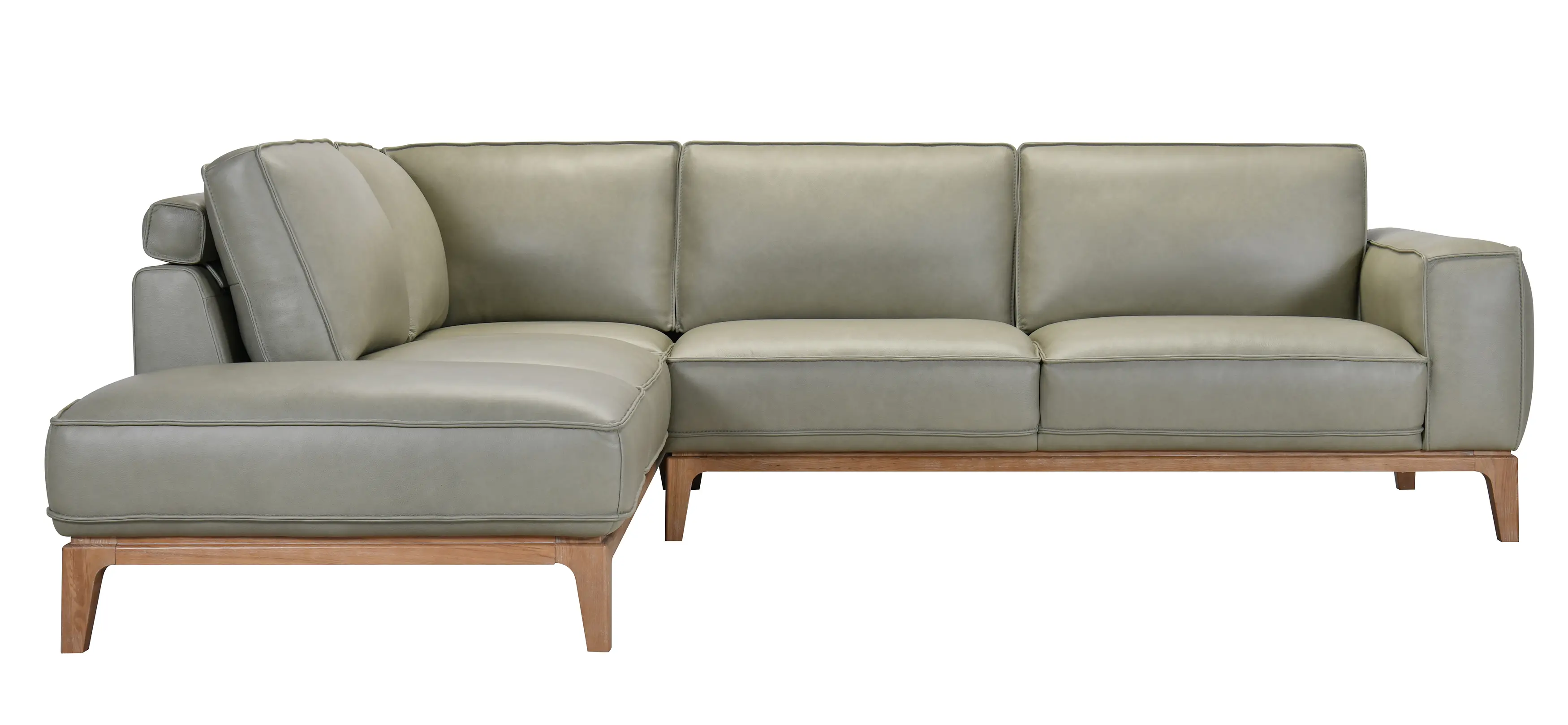 Texas Sage Green Leather 2 Piece Sectional-3