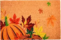 107162436 Pumpkin Spice Doormat