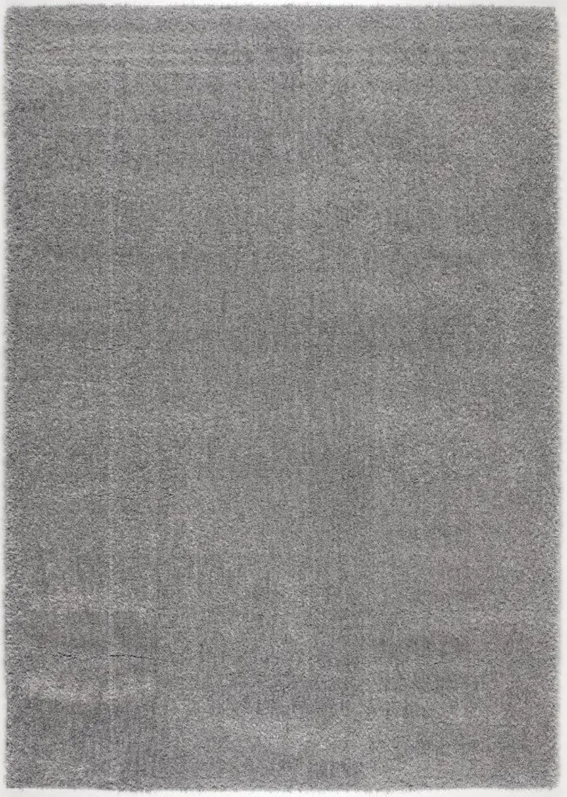 Anakara 5 x 7 Fluffy Gray Area Rug