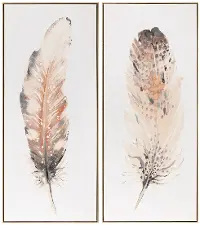 Vari Feathers Framed Art
