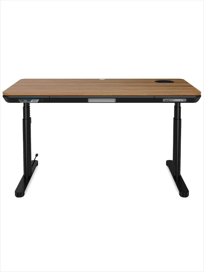 ErgoFx Adjustable Height Standing Desk With Walnut Desktop