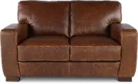 Dakota Brown Leather Loveseat