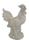 White 24  Decorative Rooster