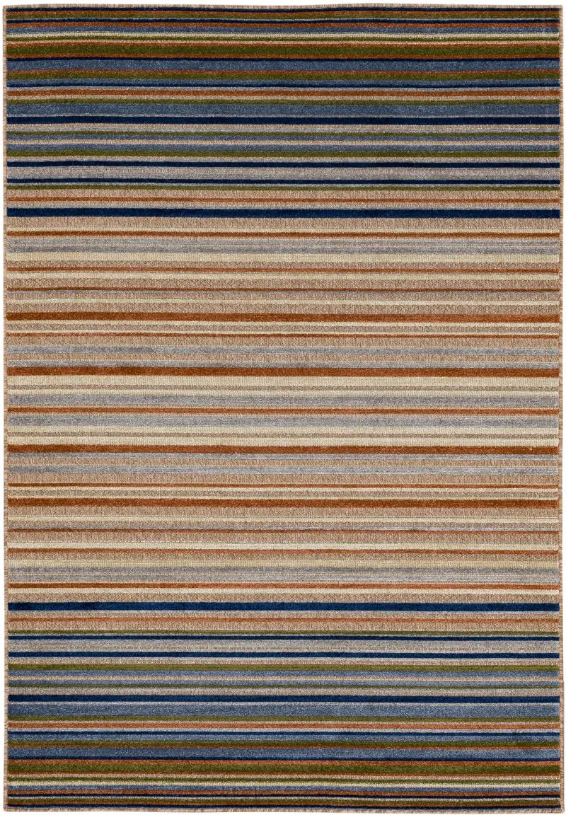 Cabana 6 x 9 Seaside Multicolor Indoor-Outdoor Patio Rug