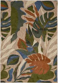 R1263416-CABANA/MULTI-6X9 Cabana 6 x 9 North Shore Botanical Multicolor Indoor-Outdoor Patio Rug
