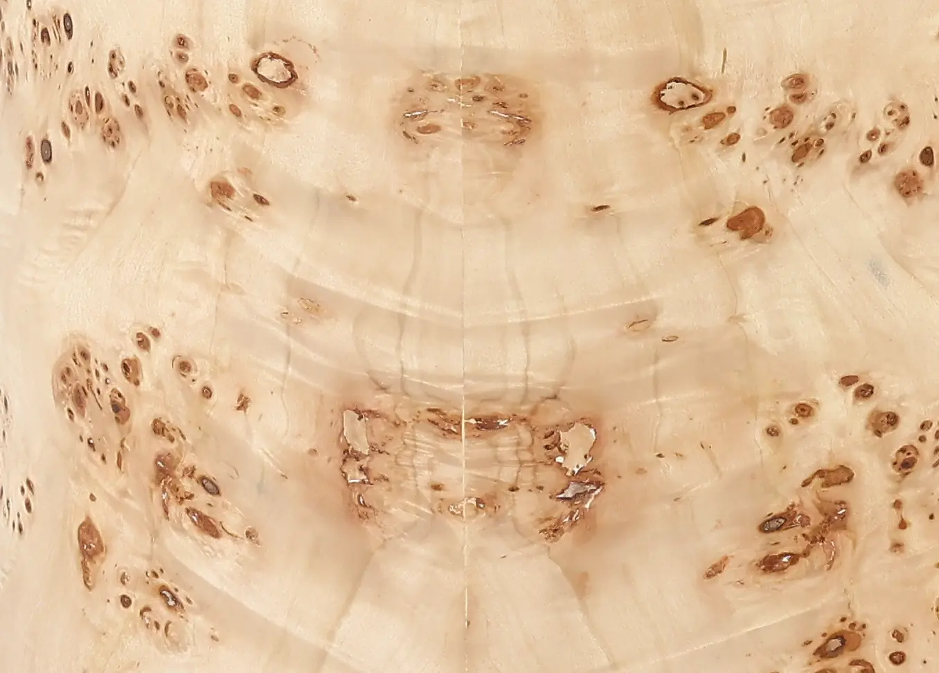 Kara Natural Mappa Wood Coffee Table-7