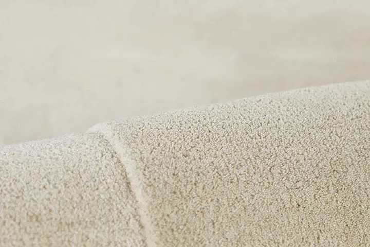Claude 7 x 11 Ivory Kidney Area Rug-5