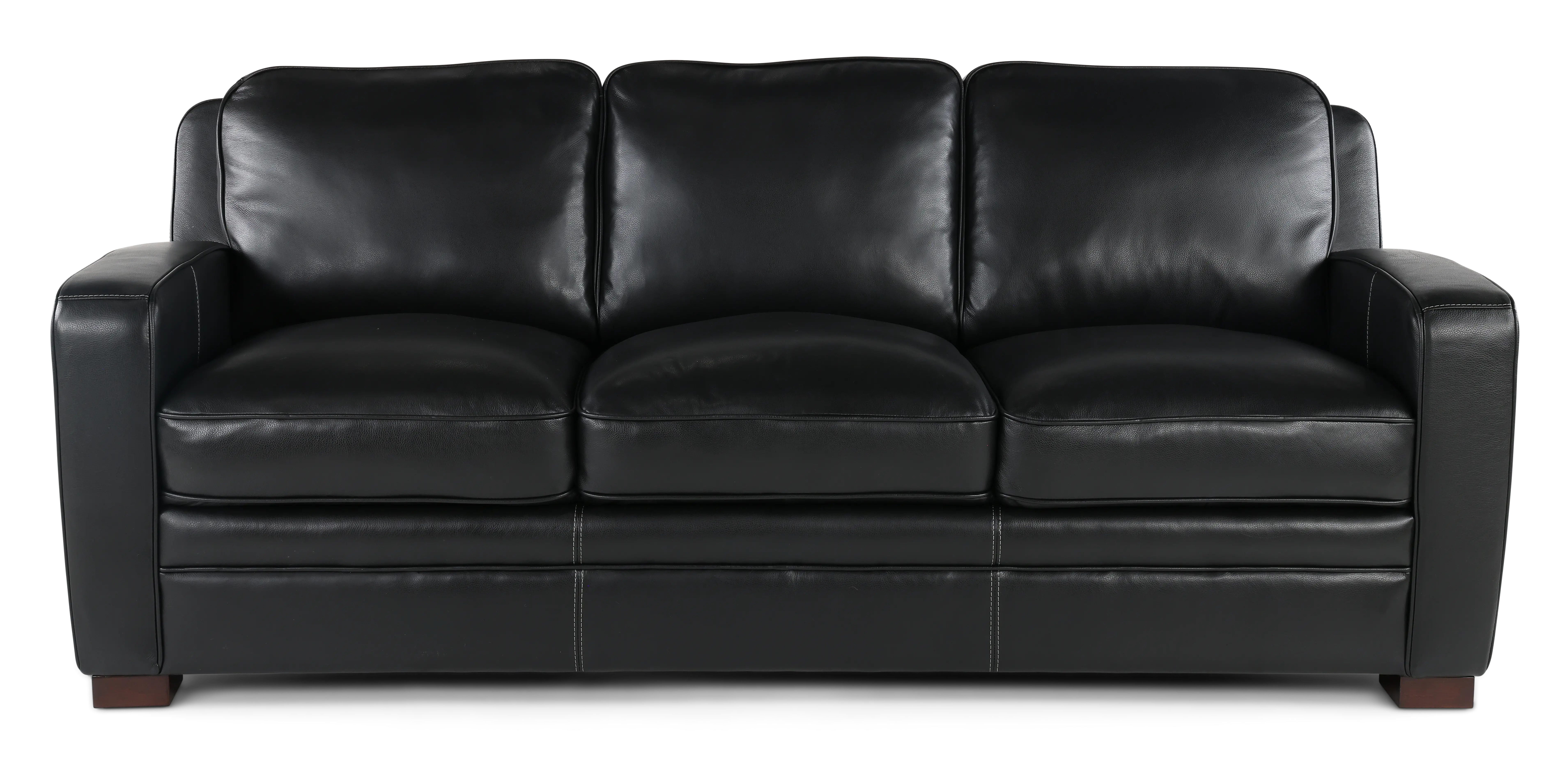 Stallion Black Leather Sofa-1