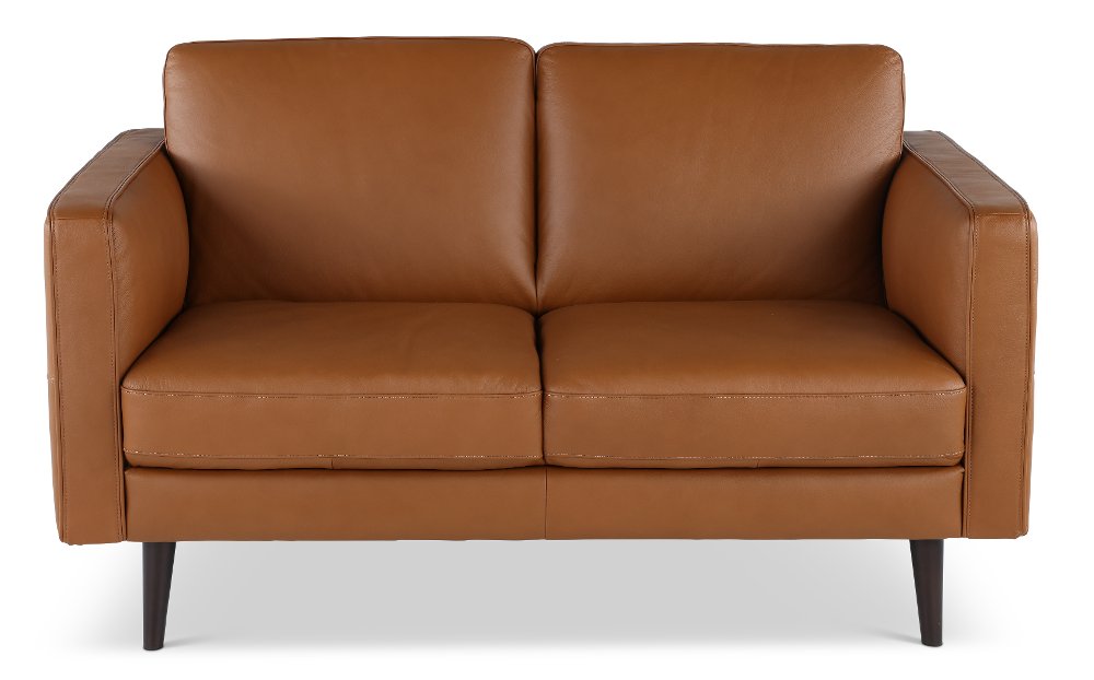 Destrezza Brown Leather Loveseat