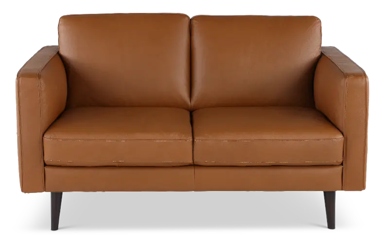 Destrezza Brown Leather Loveseat